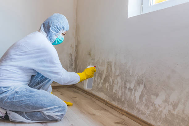 Licensed Crawl Space Mold Removal service in Washington Crossing, PA - WQB Mold Removal