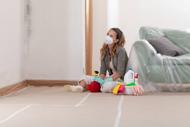 Reliable Crawl Space Mold Removal contractor in Washington Crossing, PA by WQB Mold Removal