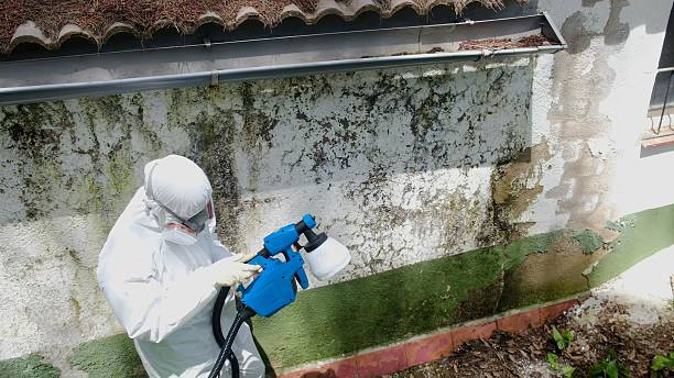 Top rated local Crawl Space Mold Removal specialists in Washington Crossing, PA